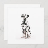 Fire Dog-uitvindingen Kaart (Voorkant / Achterkant)