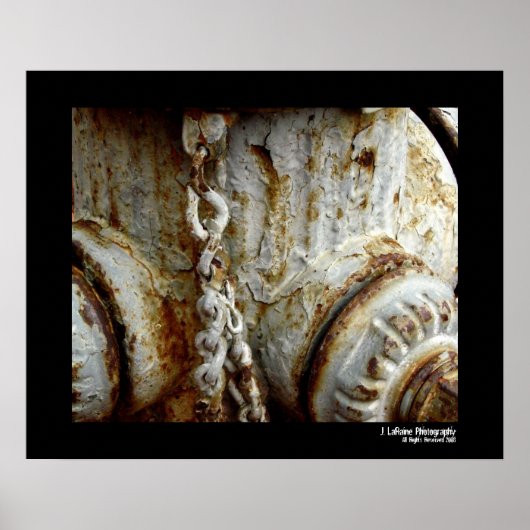 FIre Hydrant Poster (Voorkant)