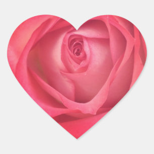 Fire & Ice Roos hart Sticker