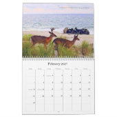 Fire Island 2026 Een kalender van 18 maanden (Feb 2027)