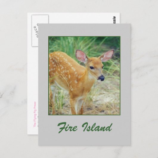 'Fire Island Fawn'-Briefkaart Briefkaart (Voorkant / Achterkant)