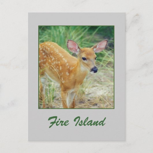 'Fire Island Fawn'-Briefkaart Briefkaart (Voorkant)