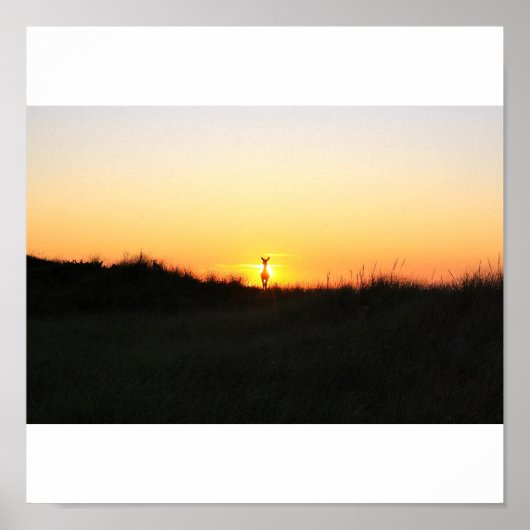 FIre Island herenzonsopgang Poster (Voorkant)