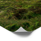 Fire Lake, Poster Azoren (Hoek)