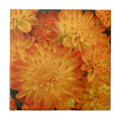 Fire Oranje Chrysanthema Tegeltje (Voorkant)