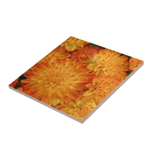 Fire Oranje Chrysanthema Tegeltje (Zijkant)
