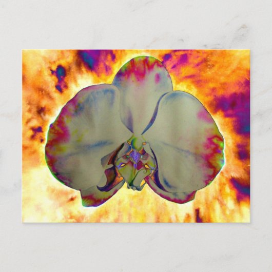 Fire Orchid, abstracte levendige waterverf florale Briefkaart (Voorkant)