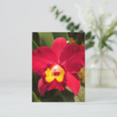 Fire Orchid Briefkaart (Staand voorkant)