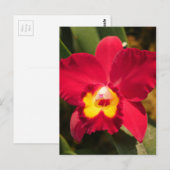Fire Orchid Briefkaart (Voorkant / Achterkant)