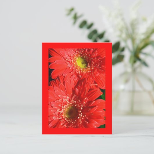 Fire Red Gerbera Briefkaart (Staand voorkant)