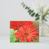 Fire Red Gerbera Daisy, kleurrijke bloem Briefkaart (Staand voorkant)