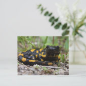 Fire Salamander Briefkaart (Staand voorkant)