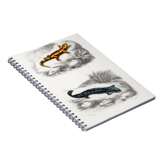 Fire Salamander en Hellbender Salamander Notitieboek (Rechterzijde)