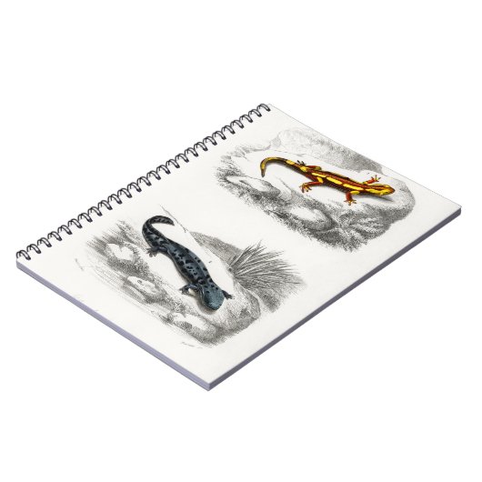 Fire Salamander en Hellbender Salamander Notitieboek (Linkerzijde)