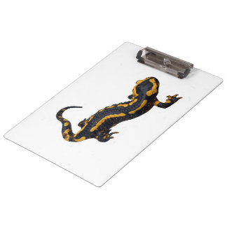 Fire Salamander-klembord Klembord