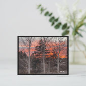 Fire Sky Through Winter Trees Briefkaart (Staand voorkant)