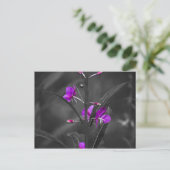 Fire Weed Mugshot Post Card Briefkaart (Staand voorkant)