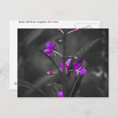 Fire Weed Mugshot Post Card Briefkaart (Voorkant / Achterkant)