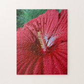 Fireball Hibiscus Flower with Raindrops Photo Legpuzzel (Verticaal)