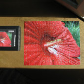 Fireball Hibiscus Flower with Raindrops Photo Legpuzzel