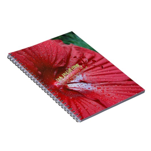 Fireball Hibiscus Flower with Raindrops Photo Notitieboek (Rechterzijde)