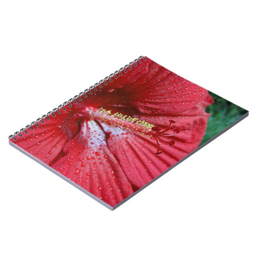 Fireball Hibiscus Flower with Raindrops Photo Notitieboek (Linkerzijde)