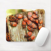 Firebugs Mouse Mat Muismat (Met muis)