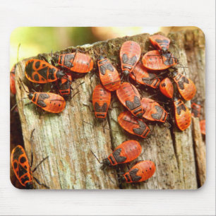 Firebugs Mouse Mat Muismat