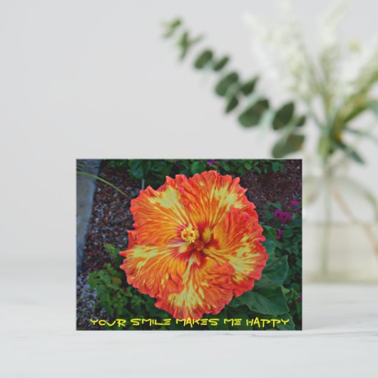 Firecracker Fiesta Hibiscus Briefkaart (Staand voorkant)