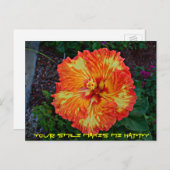 Firecracker Fiesta Hibiscus Briefkaart (Voorkant / Achterkant)