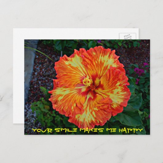 Firecracker Fiesta Hibiscus Briefkaart (Voorkant / Achterkant)