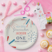 Firecracker op 4 juli Fireworks Birthday Papieren Bordje (Feest)