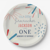 Firecracker op 4 juli Fireworks Birthday Papieren Bordje (Voorkant)