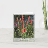 Firecracker Penstemon - Native Notecard Kaart (Voorkant)
