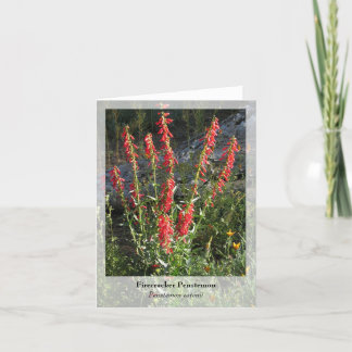 Firecracker Penstemon - Native Notecard Kaart