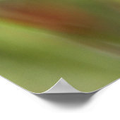 Firecracker-Plant Poster (Hoek)