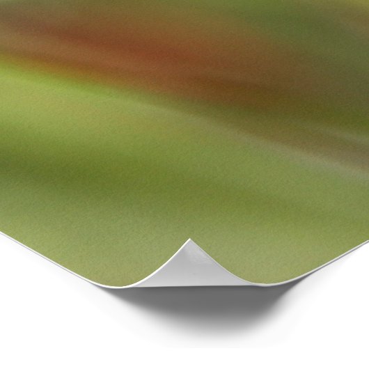 Firecracker-Plant Poster (Hoek)