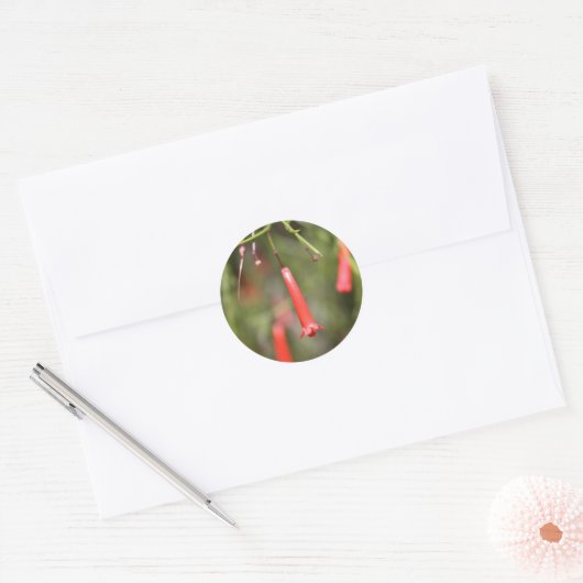Firecracker-Plant Ronde Sticker (Envelop)