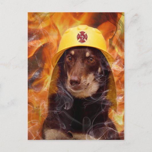 Firedog Briefkaart (Voorkant)