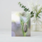 Firefly - Photuris Pyralis Briefkaart (Staand voorkant)