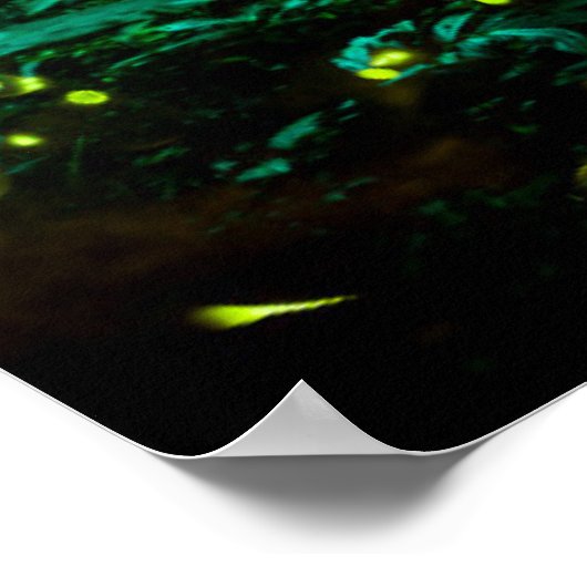 Firefly Poster (Hoek)