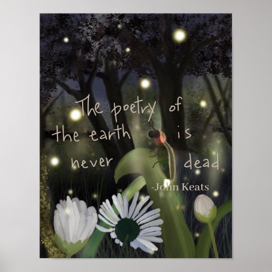 Firefly Sky Poster (Voorkant)