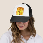 Firefly Trucker Pet (In situ)