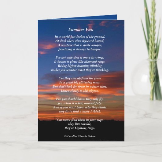 Firefly / Verlichting BugFun Kaart (Voorkant)