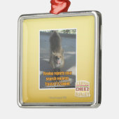 Firefox verwerpt metalen ornament (Links)
