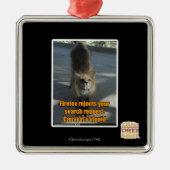 Firefox verwerpt metalen ornament (Voorkant)