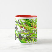 Firehead tetras 2 mok (Midden)