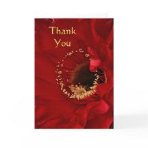 Firelight-cactus Dank u