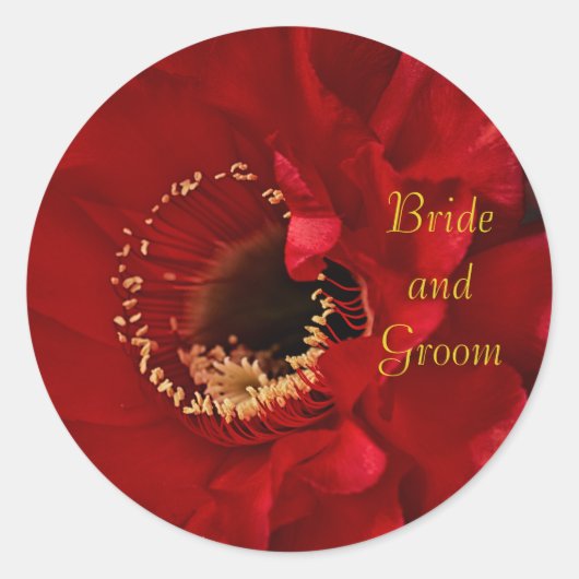 Firelight Cactus flower Bride en Groom Ronde Sticker (Voorkant)