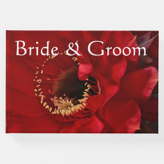 Firelight cactus flower gastenboek (Voorkant)